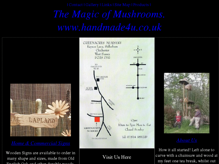 www.themagicofmushroms.com