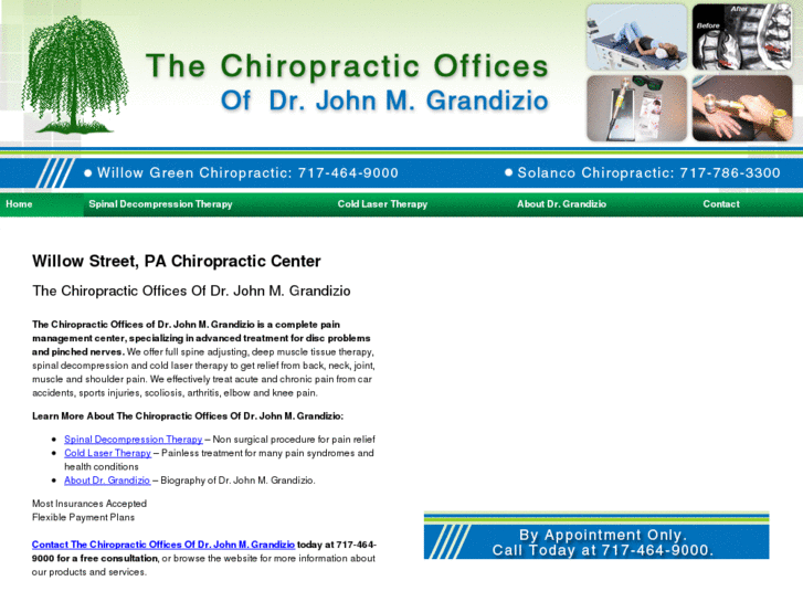 www.willowgreenchiro.com