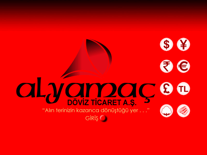 www.alyamacdoviz.com