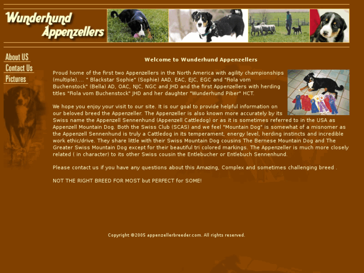 www.appenzellerbreeder.com