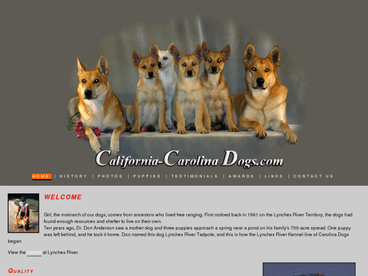 www.californiacarolinadogs.com