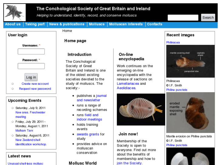 www.conchsoc.net