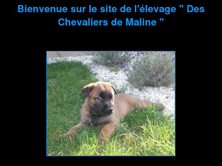 www.deschevaliersdemaline.com