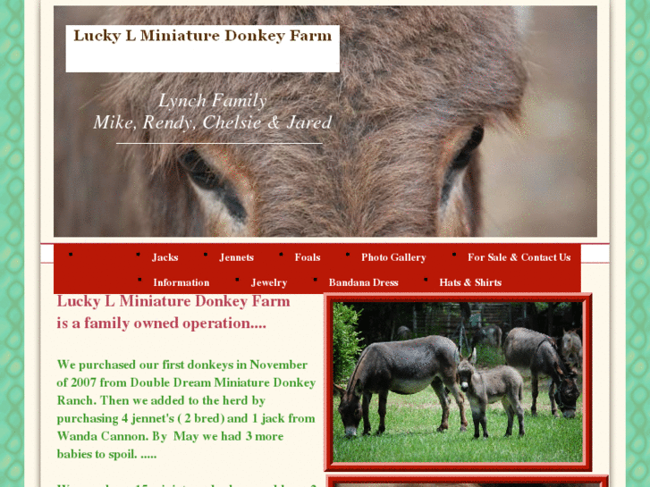 www.luckylminiaturedonkeys.com