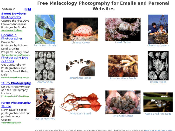 www.malacologyphotography.com