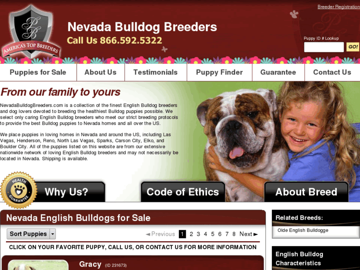 www.nevadabulldogbreeders.com