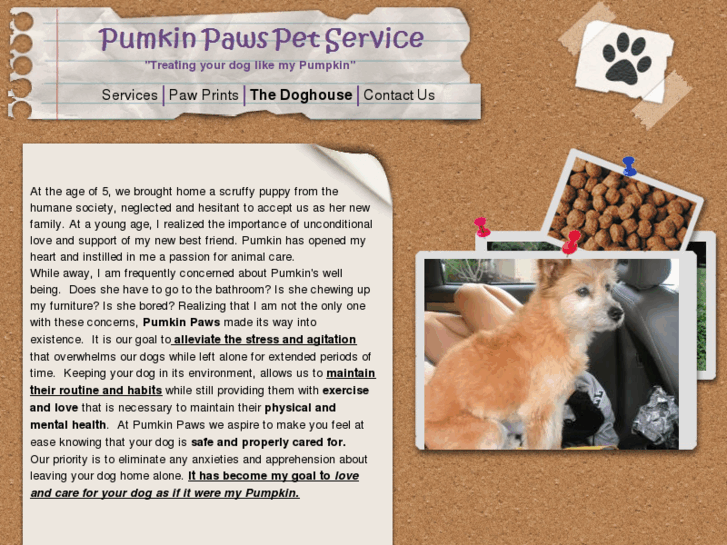 www.pumkinpaws.com