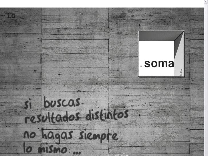 www.somaa.es