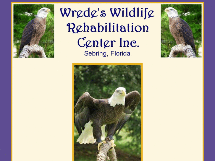 www.wredeswildliferehabilitation.com