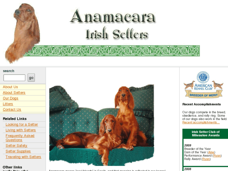 www.anamacarairishsetters.com