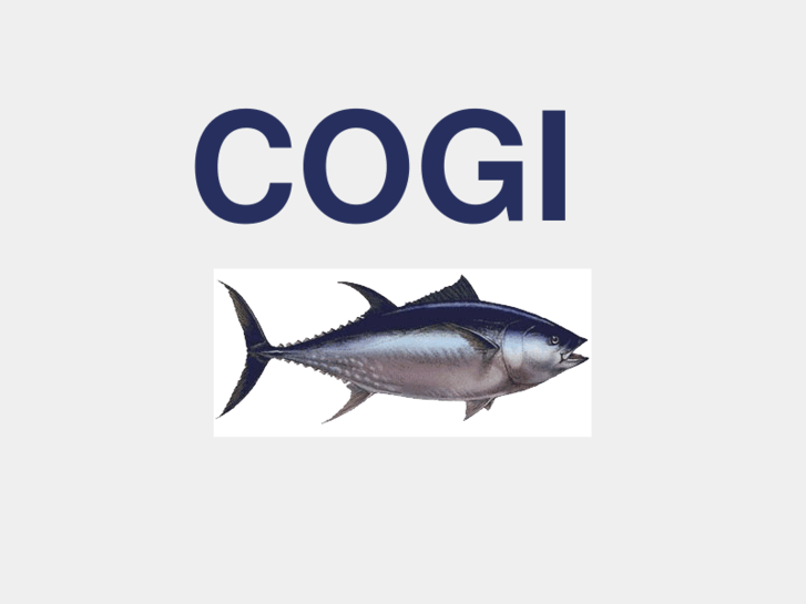 www.cogidesign.com