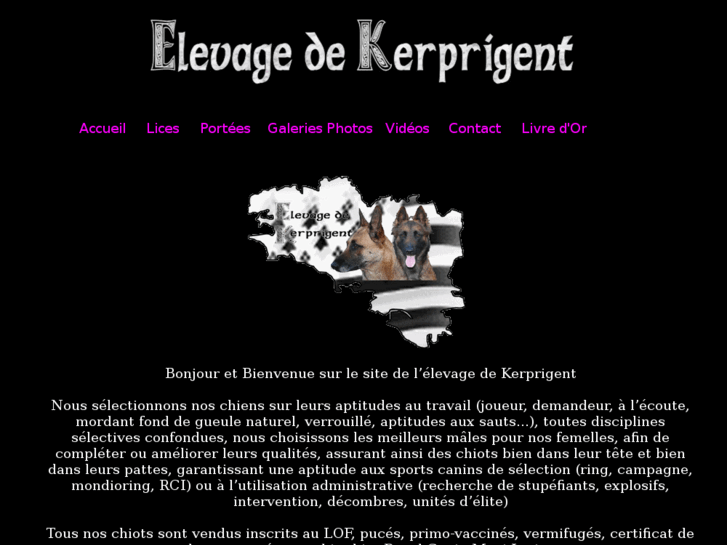 www.elevage-de-kerprigent.com