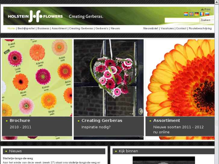 www.holsteinflowers.nl