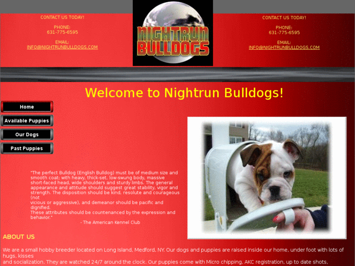 www.nightrunbulldogs.com