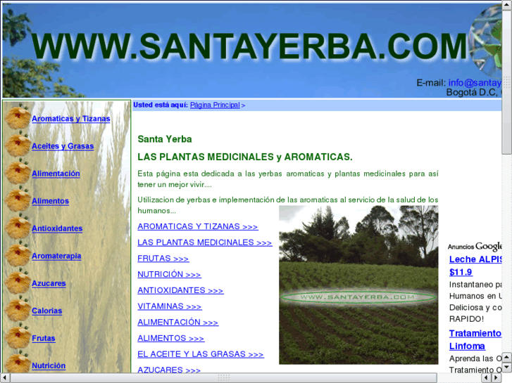 www.santayerba.com