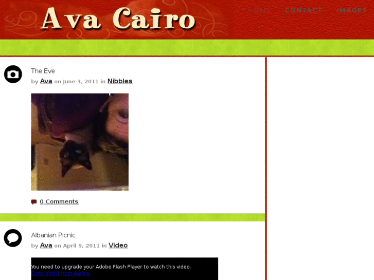 www.avacairo.com