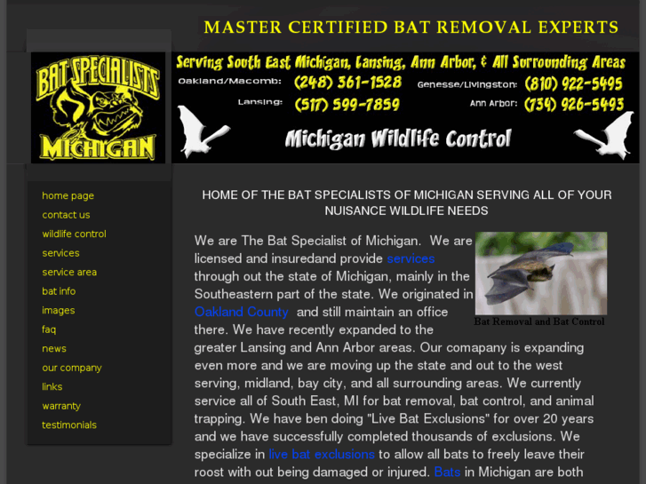 www.batspecialistofmichigan.com