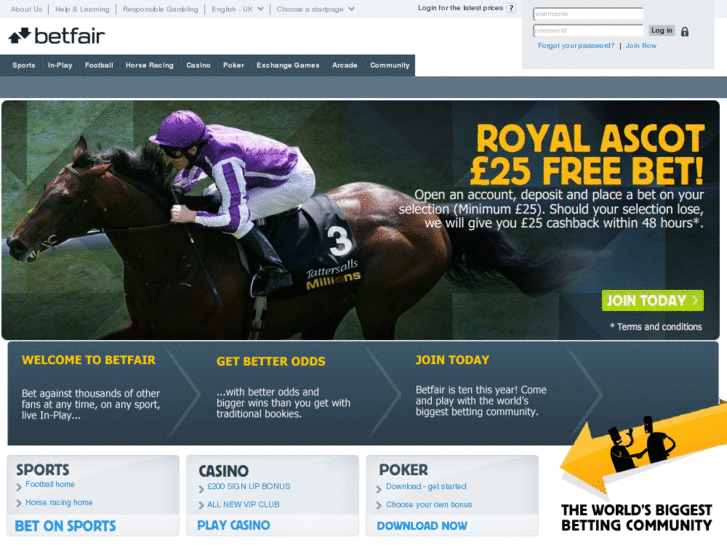 www.betfair-racing.info