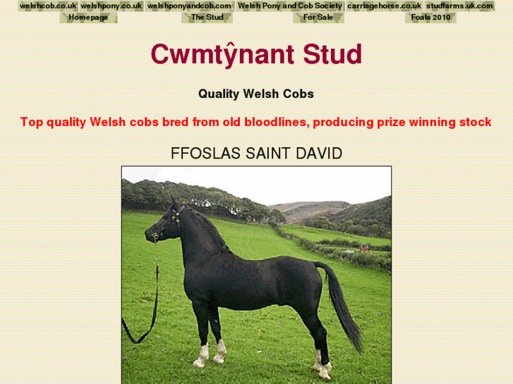 www.cwmtynant.com