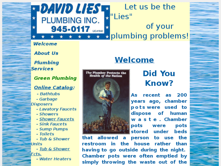 www.davidliesplumbing.com