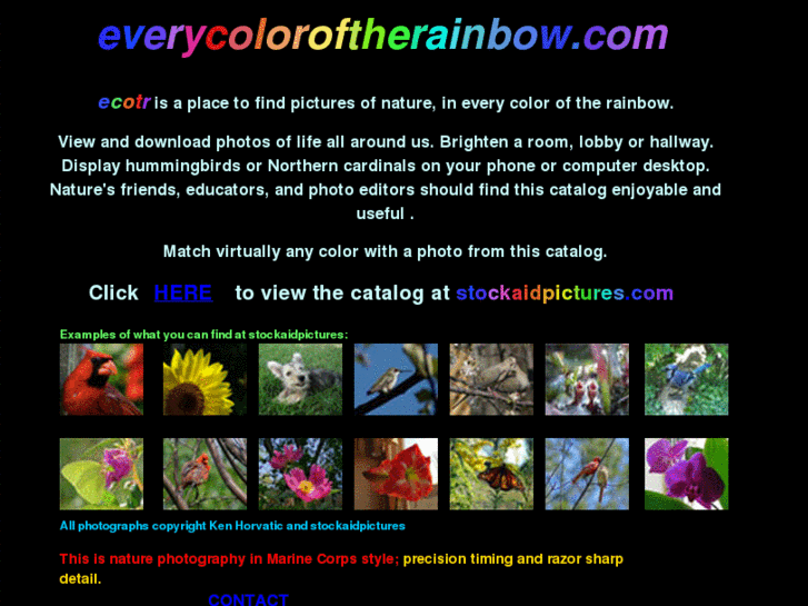 www.everycoloroftherainbow.com