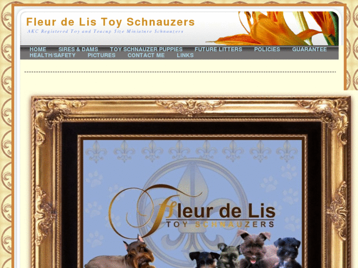 www.fdltoyschnauzers.com