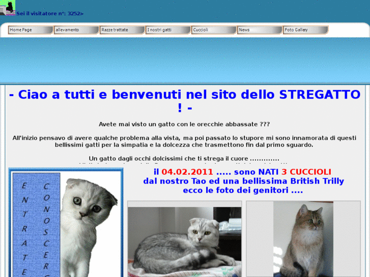 www.lostregatto.org