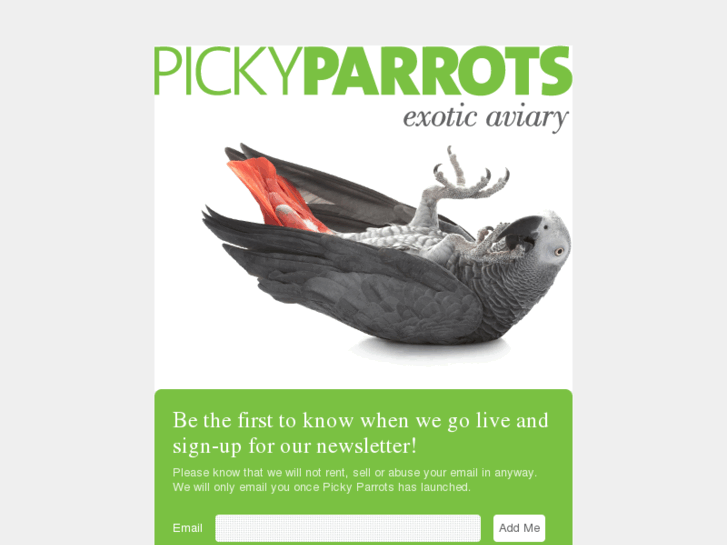 www.pickyparrots.com