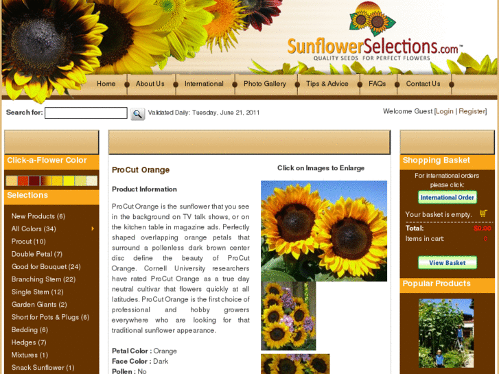 www.procutorange.com
