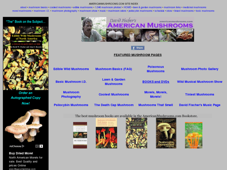 www.americanmushroom.com