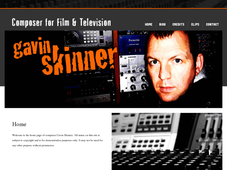 www.gavinskinner.com