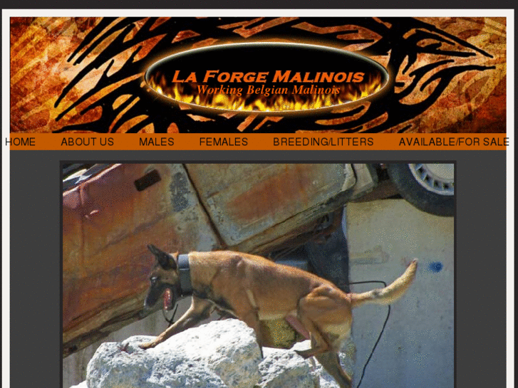 www.laforgemalinois.com