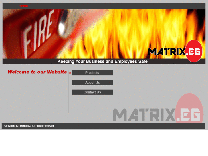 www.matrixeg.com