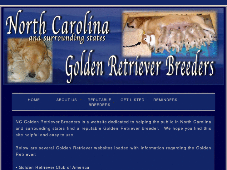 www.ncgoldenretrieverbreeders.com