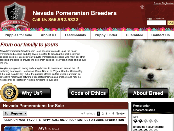 www.nevadapomeranianbreeders.com