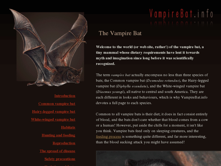 www.vampirebat.info