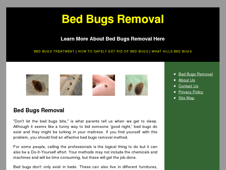 www.bedbugsremoval.org