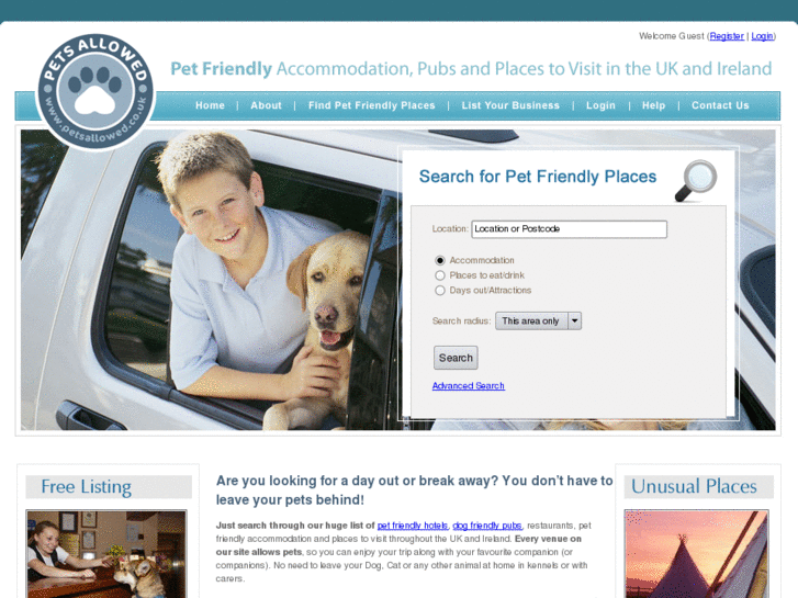 www.drivingwithdogs.com