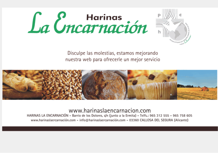 www.harinaslaencarnacion.com