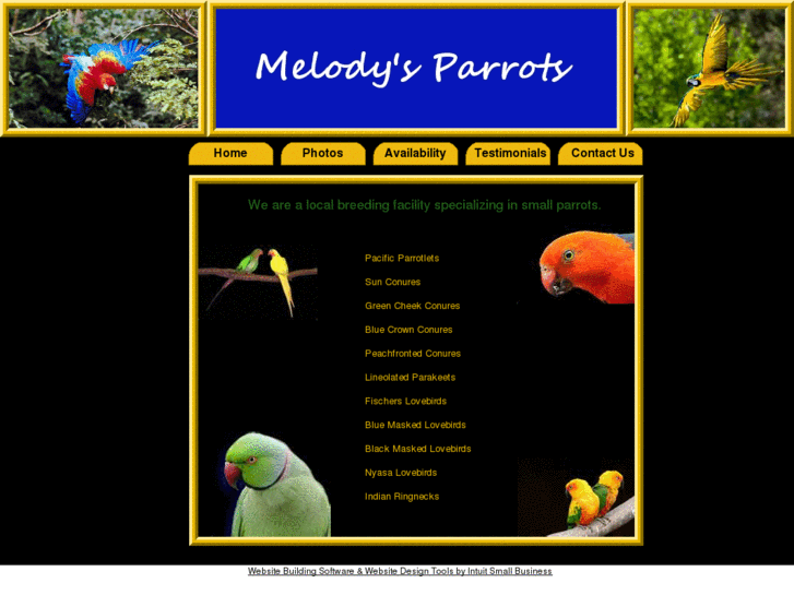 www.melodysparrots.com