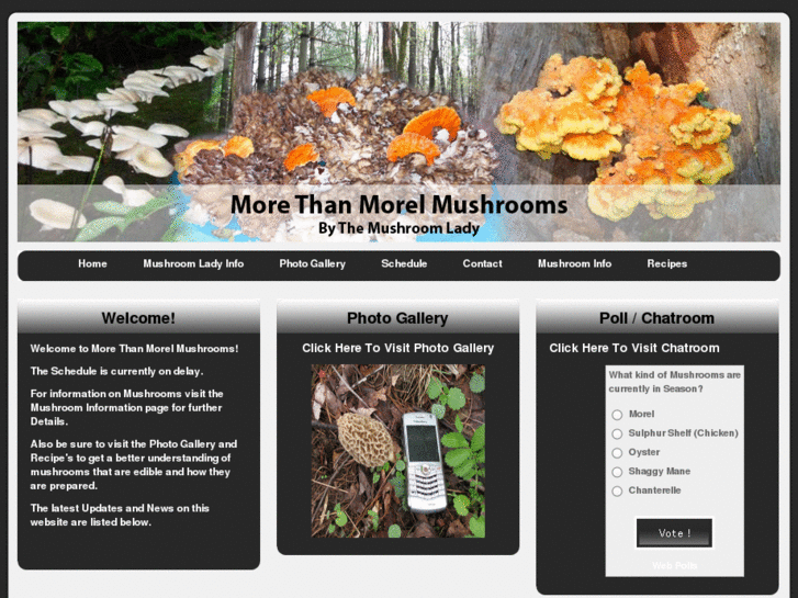 www.morethanmorelmushrooms.com