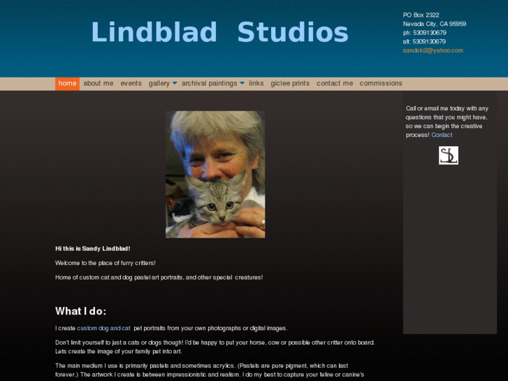 www.sandylindblad.com