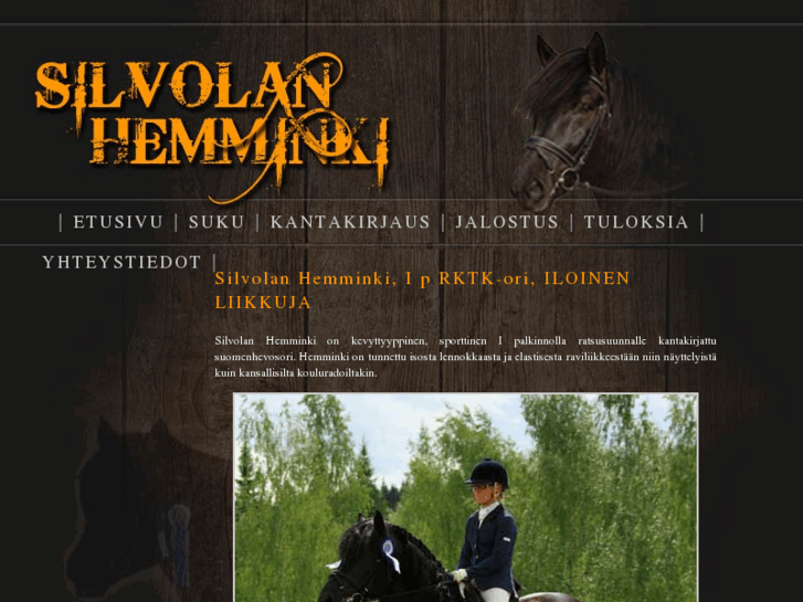 www.silvolanhemminki.com