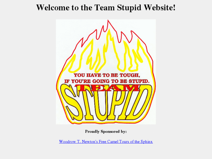 www.teamstupid.com