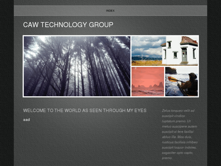 www.cawtechnologygroup.com