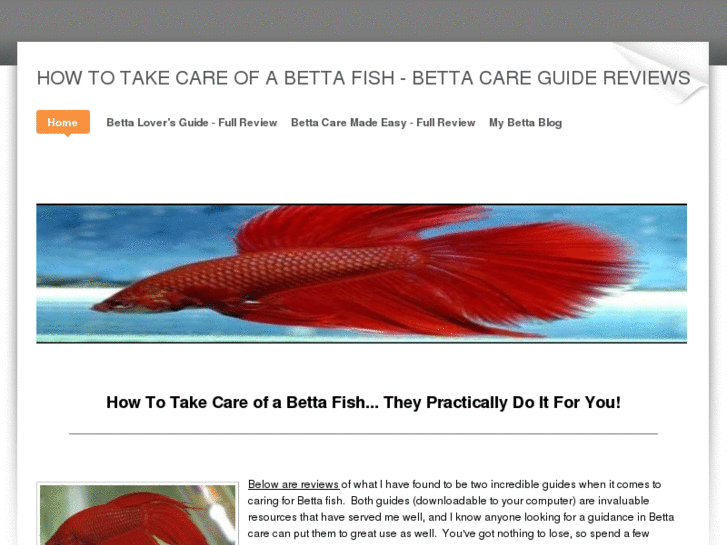 www.how-to-take-care-of-a-betta-fish.info