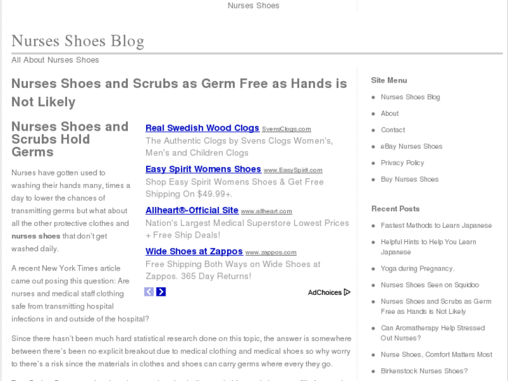 www.nurseshoesblog.com