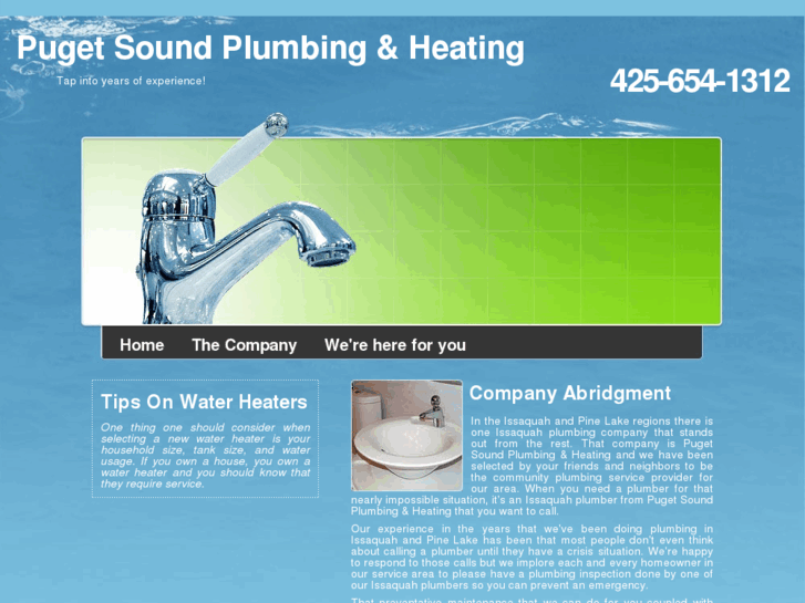 www.plumbingissaquah.com