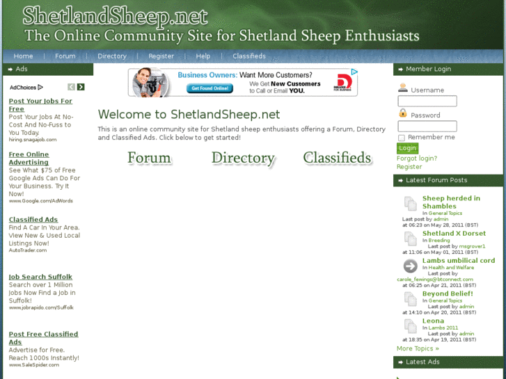 www.shetlandsheep.net