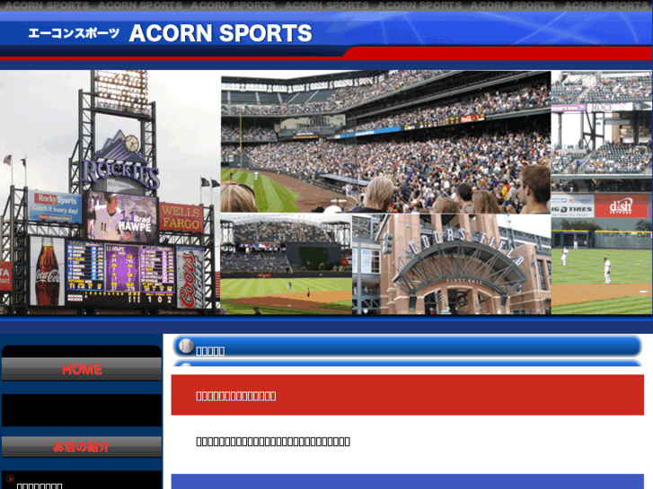 www.acorn-sports.net